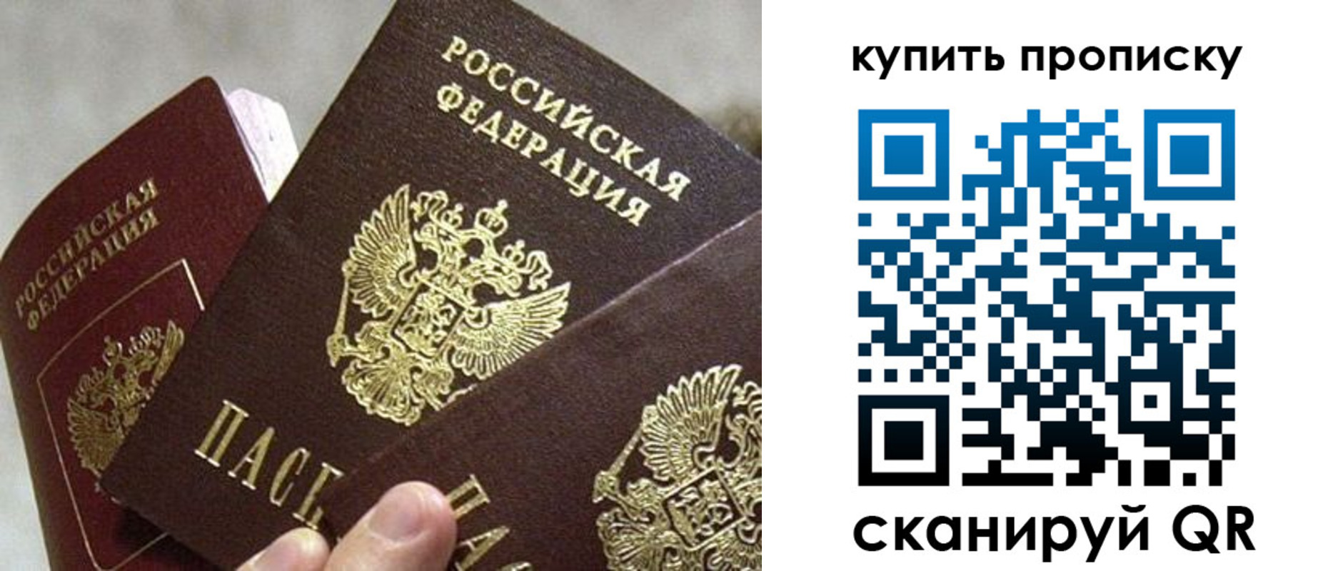 прописка для школы в Электростали